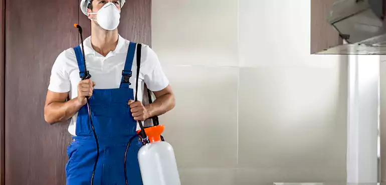 Why North Las Vegas Homeowners Choose Us When Pests Make Selling Difficult